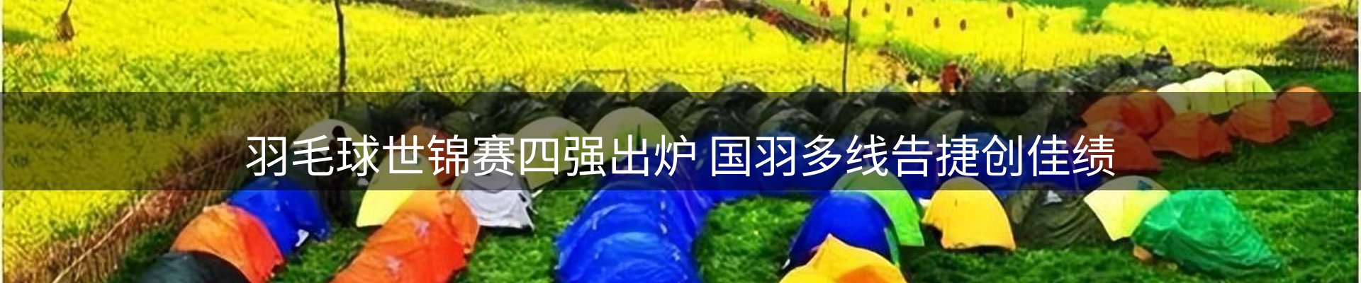 最新资讯