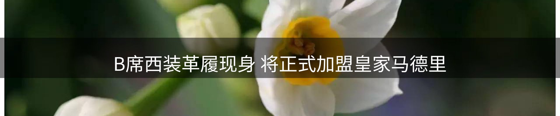 最新资讯